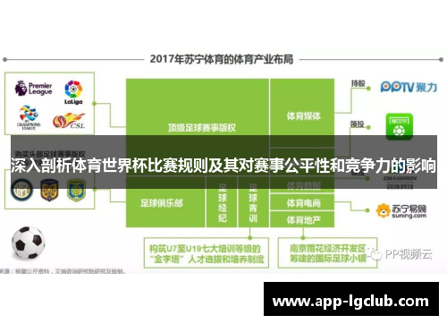 深入剖析体育世界杯比赛规则及其对赛事公平性和竞争力的影响